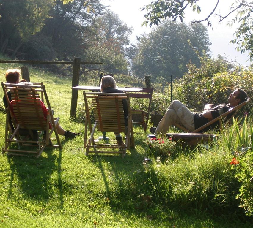 Maison d'Hôtes de la Verrière Les Ardillats Esterno foto