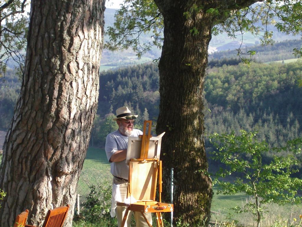 Maison d'Hôtes de la Verrière Les Ardillats Esterno foto