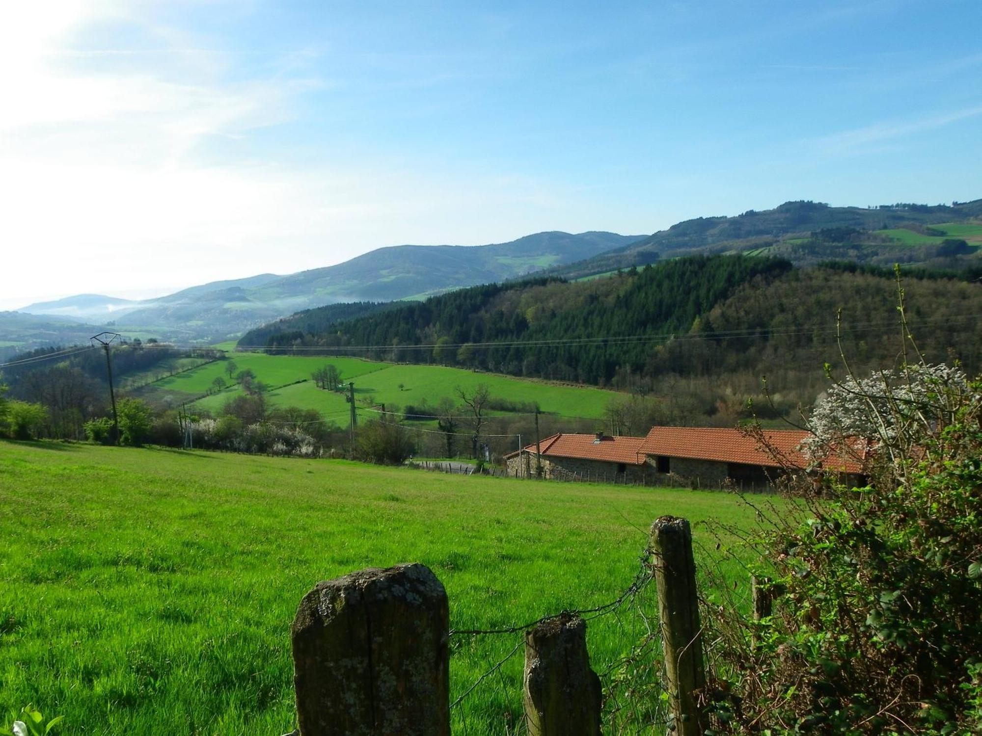 Maison d'Hôtes de la Verrière Les Ardillats Esterno foto